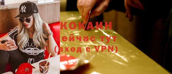 прущие грибы Новодвинск