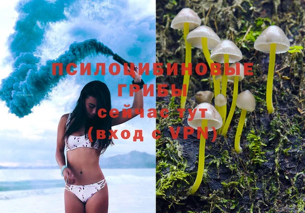 прущая мука Нея