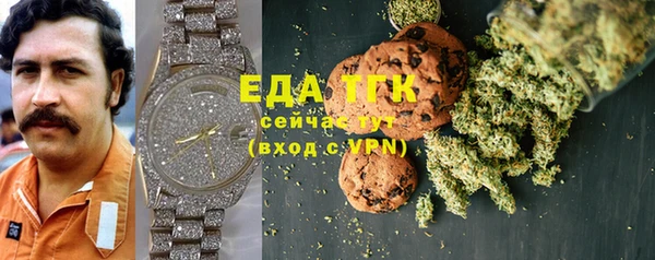 прущие грибы Новодвинск