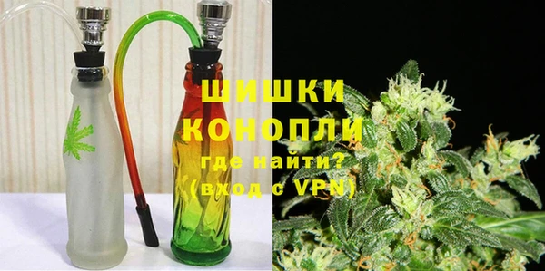 прущие грибы Новодвинск