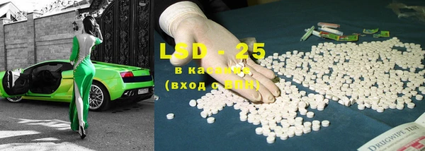 гашик Новозыбков