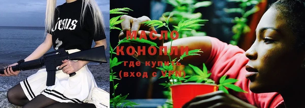 гашик Новозыбков